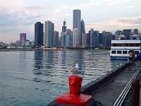 08021 Chicago skyline and bird from Navy Pier